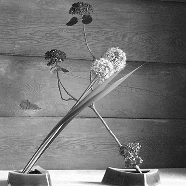 Ikebana